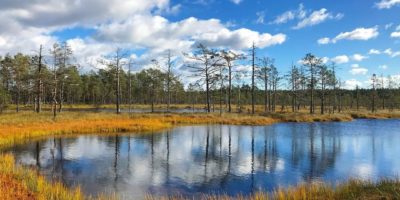 Autunno al Lahemaa Rahvuspark